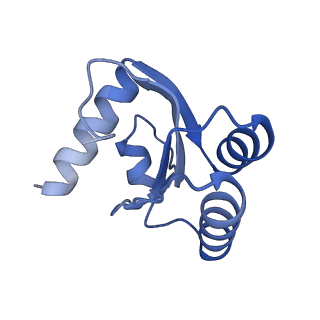 2660_3j79_6_v1-4
Cryo-EM structure of the Plasmodium falciparum 80S ribosome bound to the anti-protozoan drug emetine, large subunit