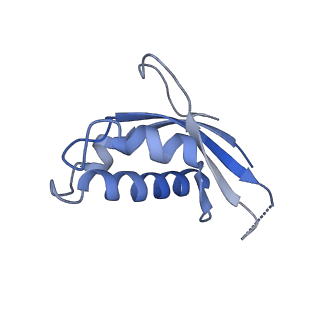 2660_3j79_7_v1-5
Cryo-EM structure of the Plasmodium falciparum 80S ribosome bound to the anti-protozoan drug emetine, large subunit