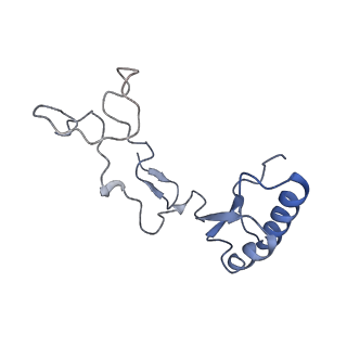 2660_3j79_8_v1-4
Cryo-EM structure of the Plasmodium falciparum 80S ribosome bound to the anti-protozoan drug emetine, large subunit