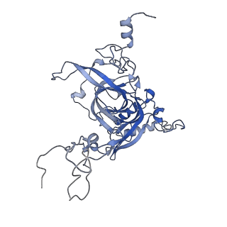 2660_3j79_E_v1-4
Cryo-EM structure of the Plasmodium falciparum 80S ribosome bound to the anti-protozoan drug emetine, large subunit