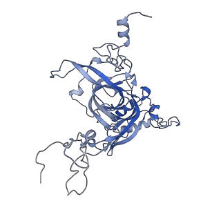 2660_3j79_E_v1-5
Cryo-EM structure of the Plasmodium falciparum 80S ribosome bound to the anti-protozoan drug emetine, large subunit