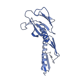 2660_3j79_H_v1-4
Cryo-EM structure of the Plasmodium falciparum 80S ribosome bound to the anti-protozoan drug emetine, large subunit