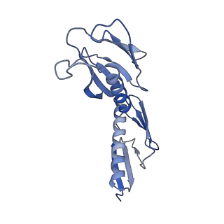 2660_3j79_H_v1-5
Cryo-EM structure of the Plasmodium falciparum 80S ribosome bound to the anti-protozoan drug emetine, large subunit