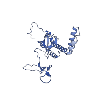 2660_3j79_I_v1-4
Cryo-EM structure of the Plasmodium falciparum 80S ribosome bound to the anti-protozoan drug emetine, large subunit