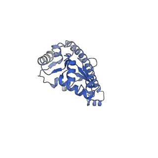 2660_3j79_K_v1-4
Cryo-EM structure of the Plasmodium falciparum 80S ribosome bound to the anti-protozoan drug emetine, large subunit