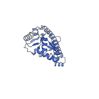 2660_3j79_K_v1-5
Cryo-EM structure of the Plasmodium falciparum 80S ribosome bound to the anti-protozoan drug emetine, large subunit