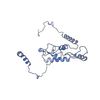 2660_3j79_L_v1-4
Cryo-EM structure of the Plasmodium falciparum 80S ribosome bound to the anti-protozoan drug emetine, large subunit
