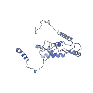 2660_3j79_L_v1-5
Cryo-EM structure of the Plasmodium falciparum 80S ribosome bound to the anti-protozoan drug emetine, large subunit