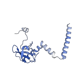 2660_3j79_N_v1-4
Cryo-EM structure of the Plasmodium falciparum 80S ribosome bound to the anti-protozoan drug emetine, large subunit