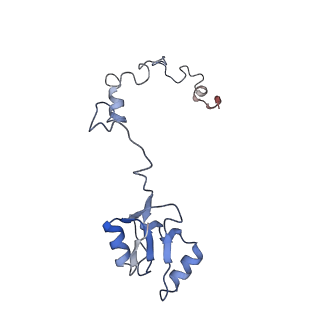 2660_3j79_O_v1-4
Cryo-EM structure of the Plasmodium falciparum 80S ribosome bound to the anti-protozoan drug emetine, large subunit