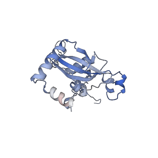 2660_3j79_P_v1-4
Cryo-EM structure of the Plasmodium falciparum 80S ribosome bound to the anti-protozoan drug emetine, large subunit