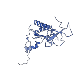 2660_3j79_Q_v1-4
Cryo-EM structure of the Plasmodium falciparum 80S ribosome bound to the anti-protozoan drug emetine, large subunit