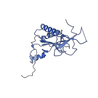 2660_3j79_Q_v1-5
Cryo-EM structure of the Plasmodium falciparum 80S ribosome bound to the anti-protozoan drug emetine, large subunit