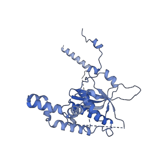 2660_3j79_R_v1-5
Cryo-EM structure of the Plasmodium falciparum 80S ribosome bound to the anti-protozoan drug emetine, large subunit