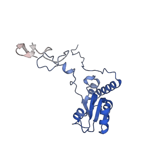 2660_3j79_S_v1-4
Cryo-EM structure of the Plasmodium falciparum 80S ribosome bound to the anti-protozoan drug emetine, large subunit