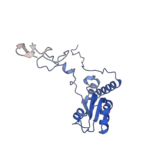 2660_3j79_S_v1-5
Cryo-EM structure of the Plasmodium falciparum 80S ribosome bound to the anti-protozoan drug emetine, large subunit