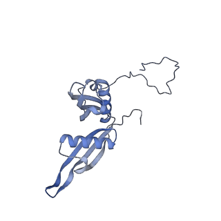 2660_3j79_U_v1-4
Cryo-EM structure of the Plasmodium falciparum 80S ribosome bound to the anti-protozoan drug emetine, large subunit