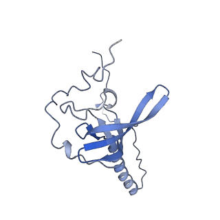 2660_3j79_V_v1-4
Cryo-EM structure of the Plasmodium falciparum 80S ribosome bound to the anti-protozoan drug emetine, large subunit
