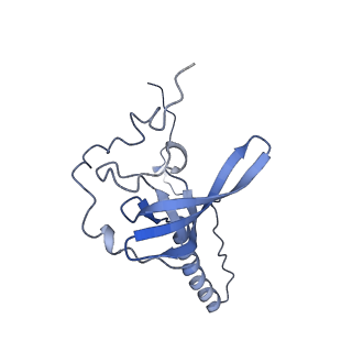 2660_3j79_V_v1-5
Cryo-EM structure of the Plasmodium falciparum 80S ribosome bound to the anti-protozoan drug emetine, large subunit