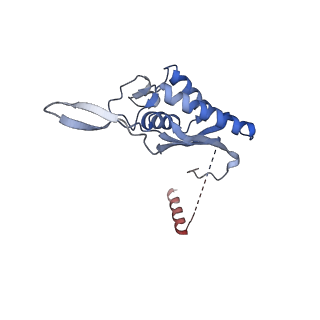 2660_3j79_W_v1-4
Cryo-EM structure of the Plasmodium falciparum 80S ribosome bound to the anti-protozoan drug emetine, large subunit