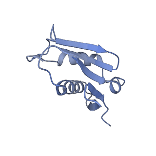 2660_3j79_X_v1-4
Cryo-EM structure of the Plasmodium falciparum 80S ribosome bound to the anti-protozoan drug emetine, large subunit