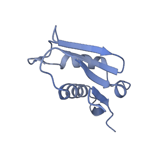 2660_3j79_X_v1-5
Cryo-EM structure of the Plasmodium falciparum 80S ribosome bound to the anti-protozoan drug emetine, large subunit