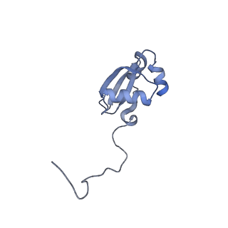 2660_3j79_Y_v1-4
Cryo-EM structure of the Plasmodium falciparum 80S ribosome bound to the anti-protozoan drug emetine, large subunit