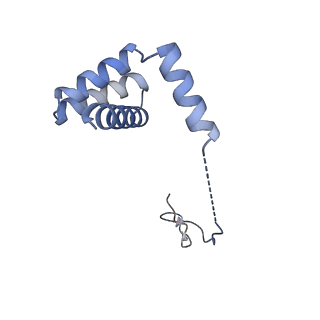 2660_3j79_b_v1-5
Cryo-EM structure of the Plasmodium falciparum 80S ribosome bound to the anti-protozoan drug emetine, large subunit