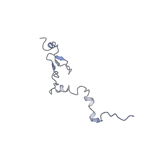 2660_3j79_c_v1-4
Cryo-EM structure of the Plasmodium falciparum 80S ribosome bound to the anti-protozoan drug emetine, large subunit