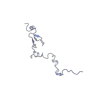 2660_3j79_c_v1-5
Cryo-EM structure of the Plasmodium falciparum 80S ribosome bound to the anti-protozoan drug emetine, large subunit