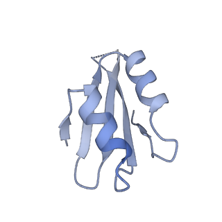 2660_3j79_d_v1-4
Cryo-EM structure of the Plasmodium falciparum 80S ribosome bound to the anti-protozoan drug emetine, large subunit