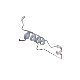 2660_3j79_e_v1-4
Cryo-EM structure of the Plasmodium falciparum 80S ribosome bound to the anti-protozoan drug emetine, large subunit
