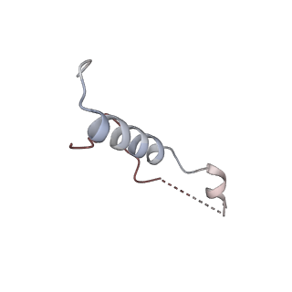 2660_3j79_e_v1-5
Cryo-EM structure of the Plasmodium falciparum 80S ribosome bound to the anti-protozoan drug emetine, large subunit