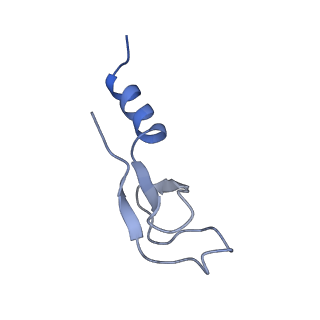 2660_3j79_f_v1-5
Cryo-EM structure of the Plasmodium falciparum 80S ribosome bound to the anti-protozoan drug emetine, large subunit