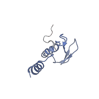 2660_3j79_h_v1-5
Cryo-EM structure of the Plasmodium falciparum 80S ribosome bound to the anti-protozoan drug emetine, large subunit