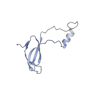 2660_3j79_i_v1-4
Cryo-EM structure of the Plasmodium falciparum 80S ribosome bound to the anti-protozoan drug emetine, large subunit