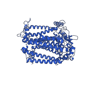 36036_8j7a_A_v1-0
Coordinates of Cryo-EM structure of the Arabidopsis thaliana PSI in state 1 (PSI-ST1)
