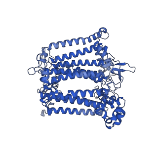 36037_8j7b_A_v1-0
Coordinates of Cryo-EM structure of the Arabidopsis thaliana PSI in state 2 (PSI-ST2)