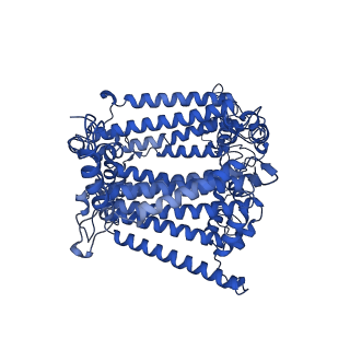 36037_8j7b_B_v1-0
Coordinates of Cryo-EM structure of the Arabidopsis thaliana PSI in state 2 (PSI-ST2)
