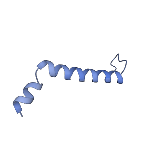 36037_8j7b_J_v1-0
Coordinates of Cryo-EM structure of the Arabidopsis thaliana PSI in state 2 (PSI-ST2)