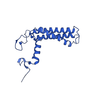 36037_8j7b_L_v1-0
Coordinates of Cryo-EM structure of the Arabidopsis thaliana PSI in state 2 (PSI-ST2)
