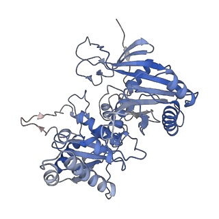 36047_8j7s_A_v1-0
Structure of the SPARTA complex