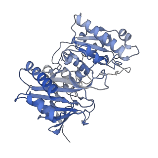 36047_8j7s_E_v1-0
Structure of the SPARTA complex