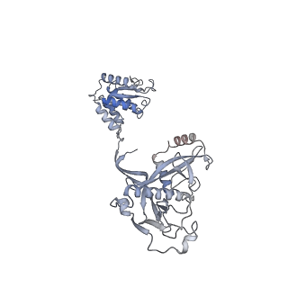 36047_8j7s_F_v1-0
Structure of the SPARTA complex