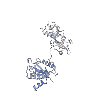 36047_8j7s_J_v1-0
Structure of the SPARTA complex