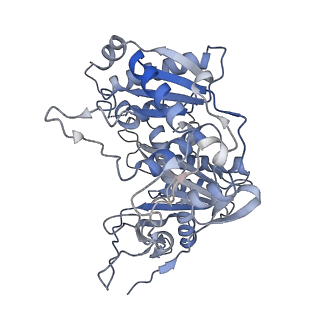 36047_8j7s_M_v1-0
Structure of the SPARTA complex