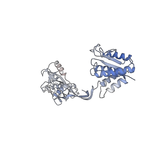 36047_8j7s_N_v1-0
Structure of the SPARTA complex