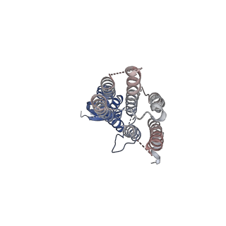 36049_8j7u_A_v1-0
Cryo-EM structure of hZnT7-Fab complex in zinc-bound state, determined in outward-facing conformation