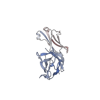 36049_8j7u_C_v1-0
Cryo-EM structure of hZnT7-Fab complex in zinc-bound state, determined in outward-facing conformation