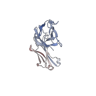 36049_8j7u_D_v1-0
Cryo-EM structure of hZnT7-Fab complex in zinc-bound state, determined in outward-facing conformation